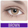 Цветные  линзы Adria Color 1 Tone (2 линзы)
